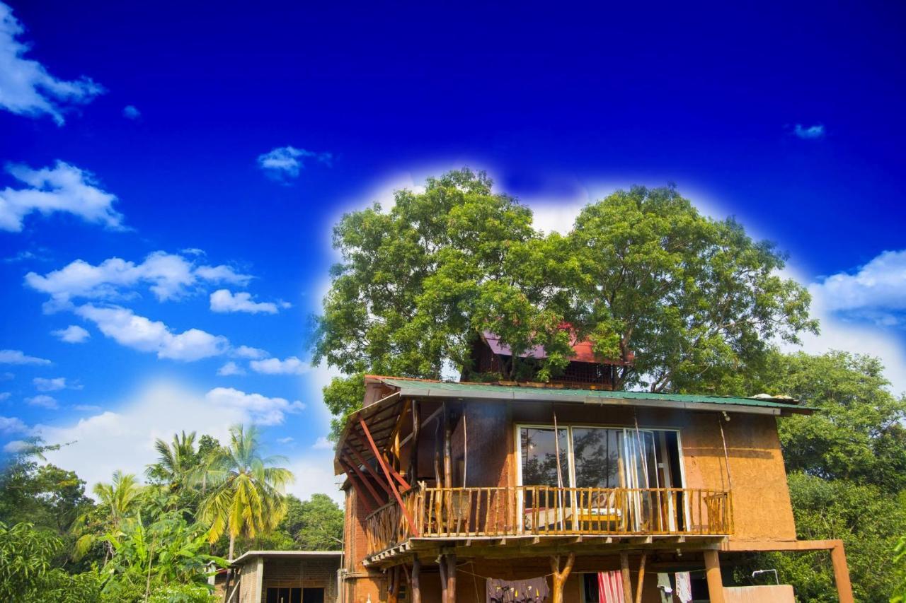 Anushka Nera Nature House Sigiriya Oda fotoğraf